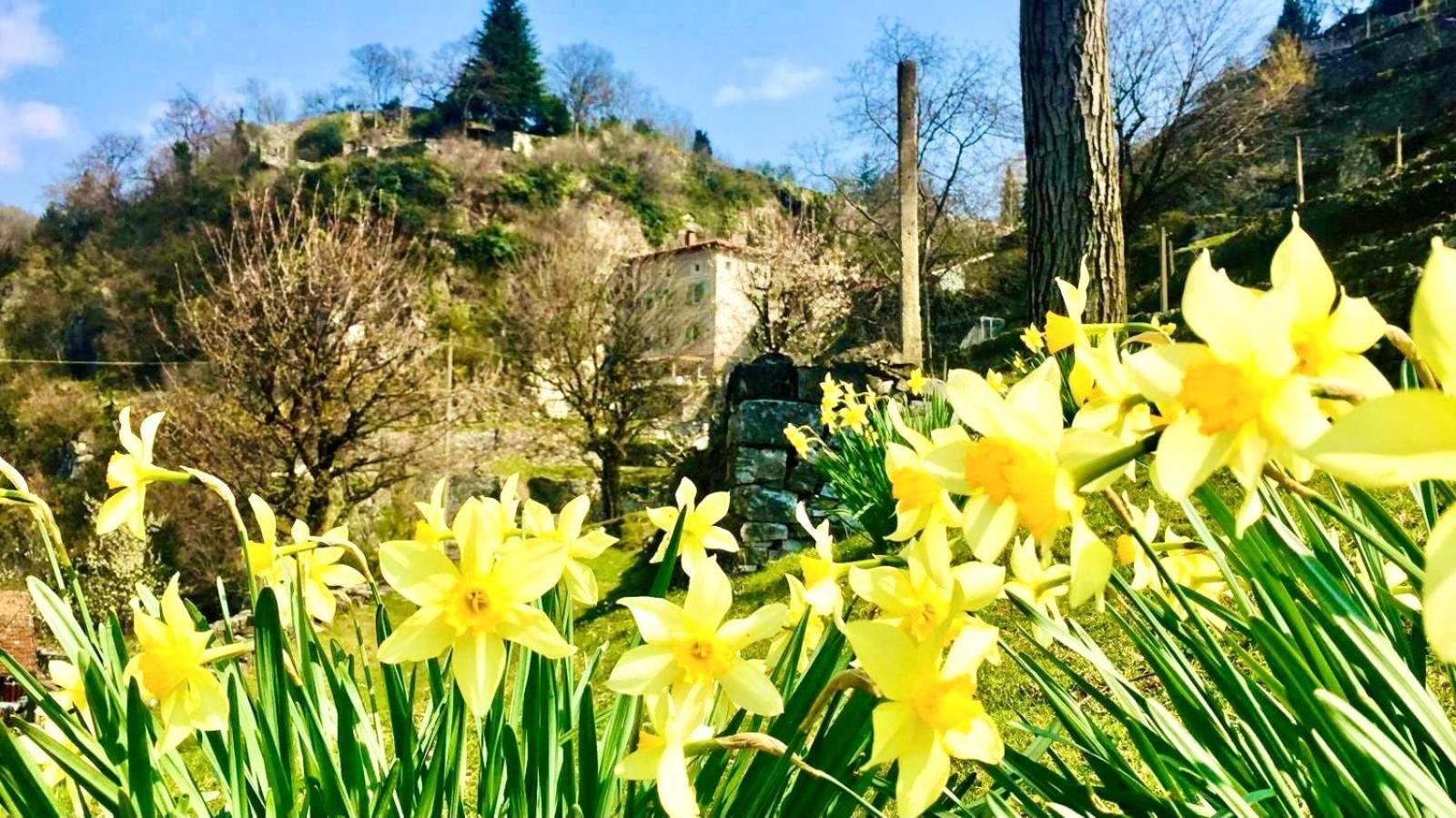 布雷诺La Casa Sulla Collina Del Castello别墅 外观 照片